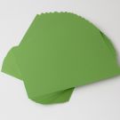 Fotokarton DIN A4, 50 Blatt hellgrün